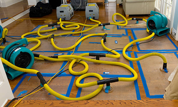 Professional Crawl Space Water Removal technician working in Jackson Heights, NY